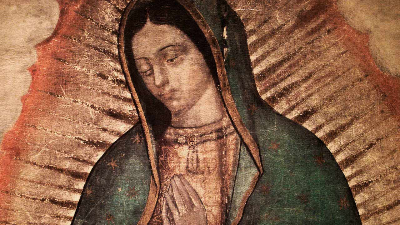Nossa Senhora de Guadalupe - Arquidiocese de São Paulo