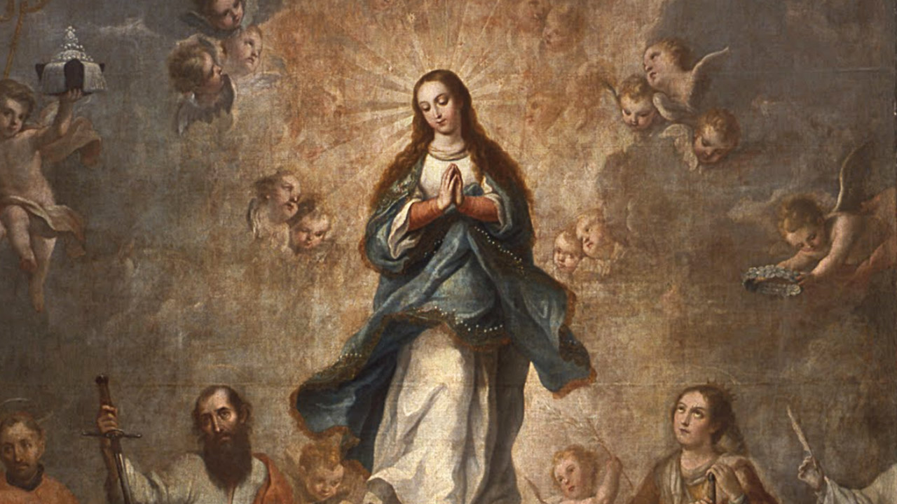 Imaculada Conceição da Virgem Maria - Arquidiocese de São Paulo