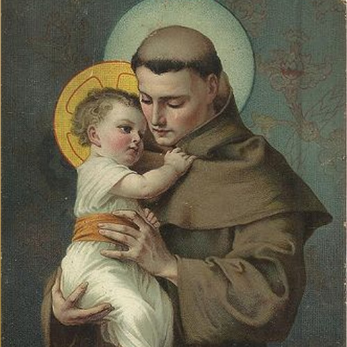 Santo Antônio de Pádua, Doutor da Igreja - Arquidiocese de São Paulo