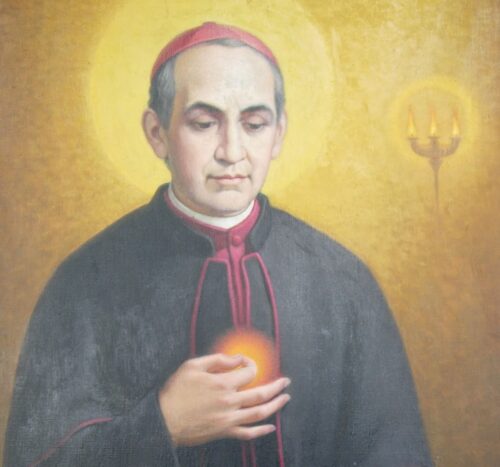 Santo Antônio Maria Claret, Bispo