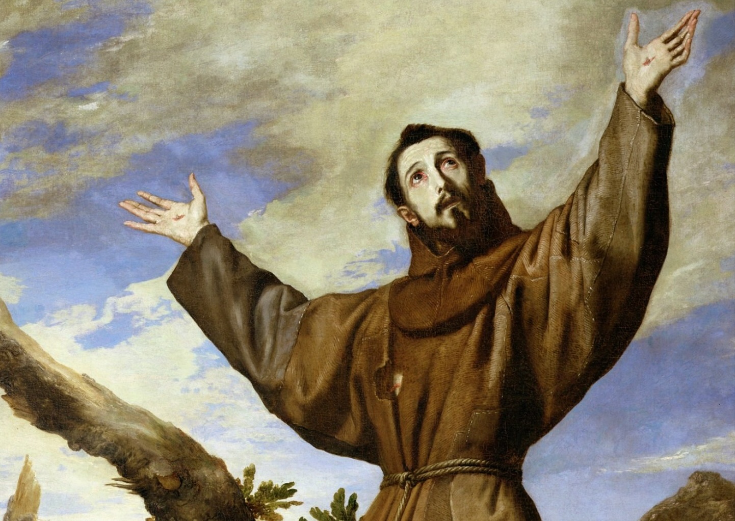 São Francisco de Assis - Arquidiocese de São Paulo